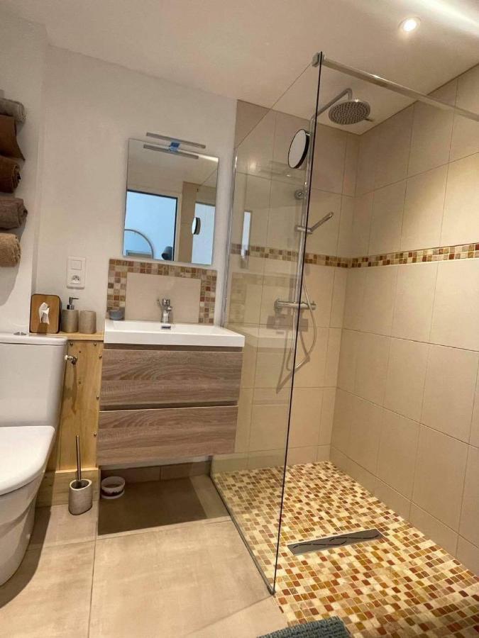 Chez Brunet Chambres D'Hotes Et Gite Lagraulet-du-Gers Exteriér fotografie