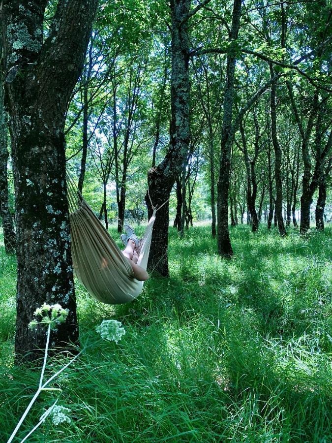 Chez Brunet Chambres D'Hotes Et Gite Lagraulet-du-Gers Exteriér fotografie